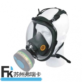 代爾塔105008 M9000過濾式硅膠全面罩