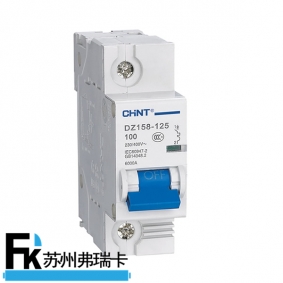 DZ158-125塑料外殼式斷路器